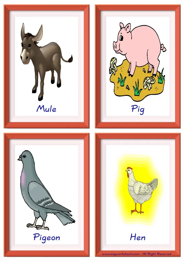 Quarter page ESL Flashcard together with words containing Farm Animals picture for kids and teachers.