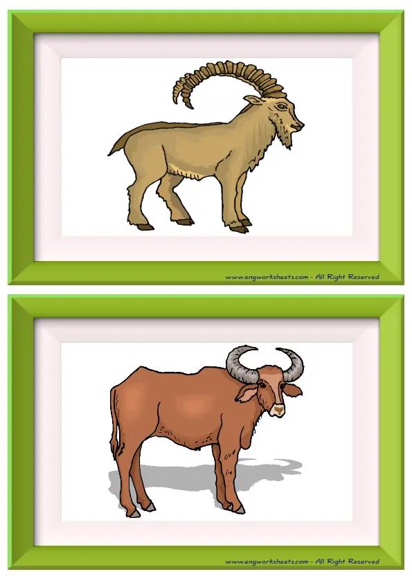 Half page ESL Flashcard without words containing Farm Animals picture for kids and teachers.