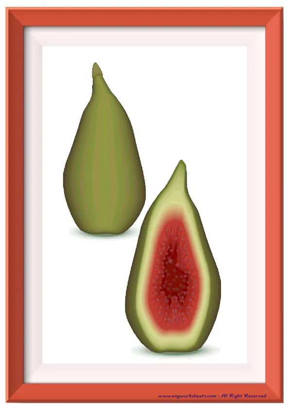 Full page ESL Flashcard without words containing Fruits picture for kids and teachers.