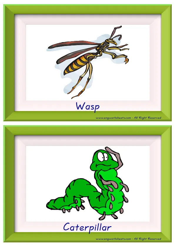 Half page ESL Flashcard together with words containing Insects picture for kids and teachers.