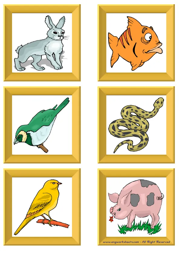 ESL Flashcard without words containing Pets picture for kids and teachers.