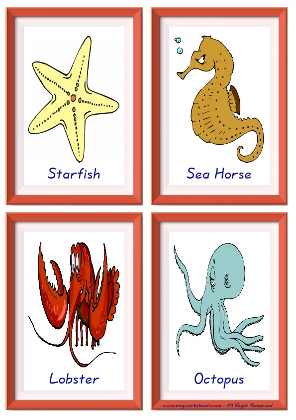 Quarter page ESL Flashcard together with words containing Sea Animals picture for kids and teachers.