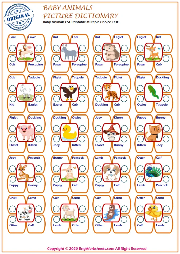 Baby Animals English word search puzzle worksheet, find the given words in the puzzle.