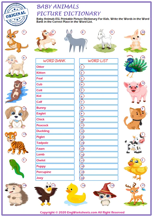 Online Learn Baby Animals What Is In The Picture And Tick The Right Option