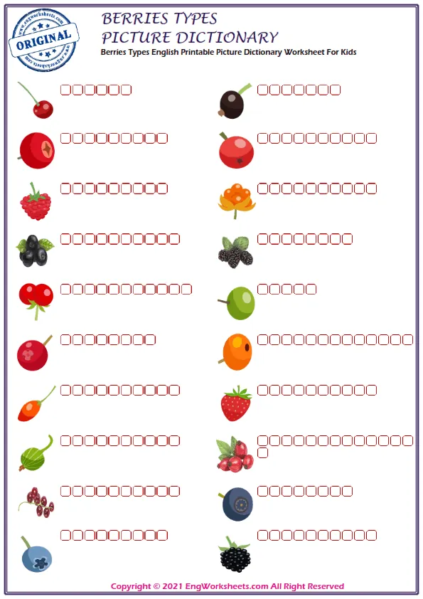 Berries Types English Printable Picture Dictionary Worksheet For Kids