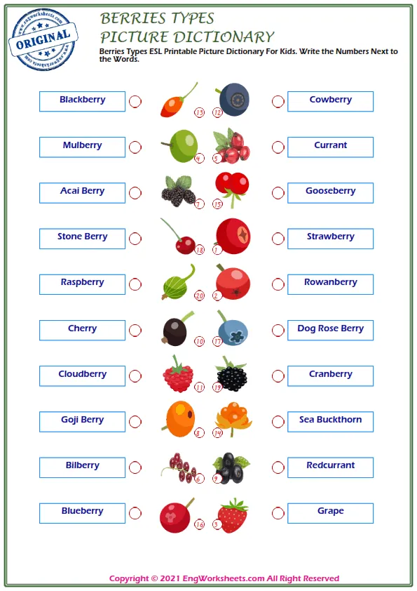 Berries Types ESL Printable Picture Dictionary For Kids. Write the Numbers Next to the Words.