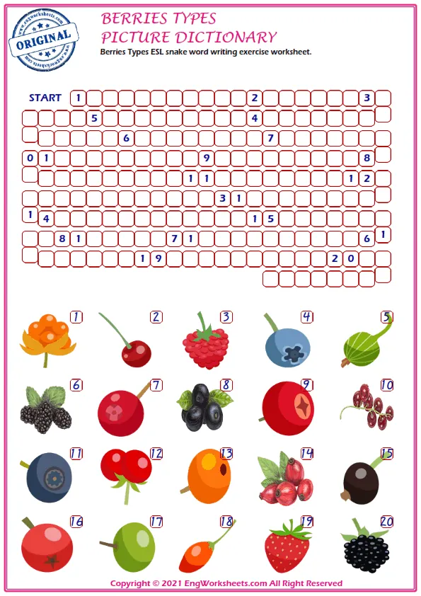Berries Types ESL snake word writing exercise worksheet.