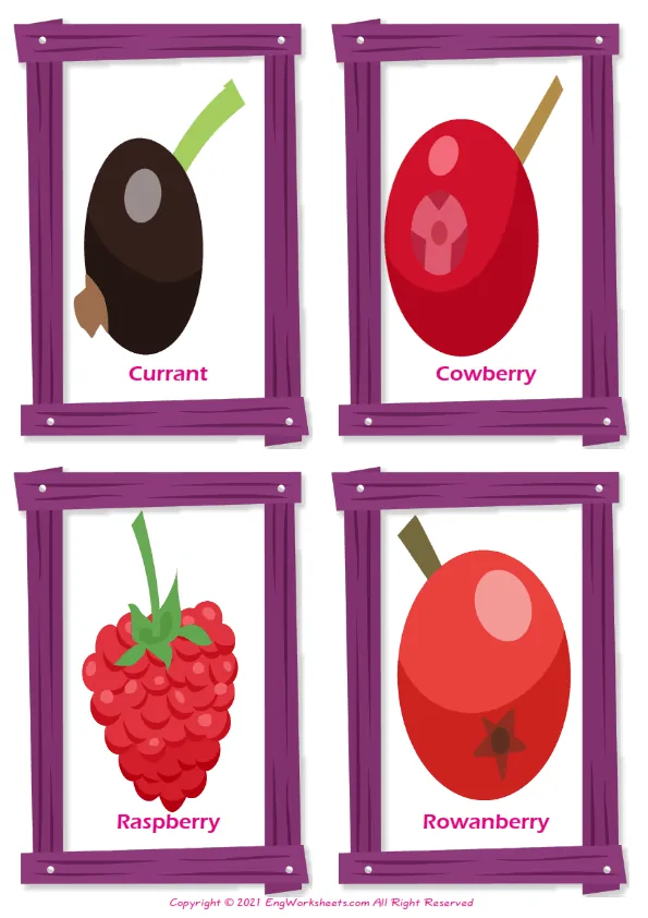 Berries Types vocabulary worksheet with words, four images per page