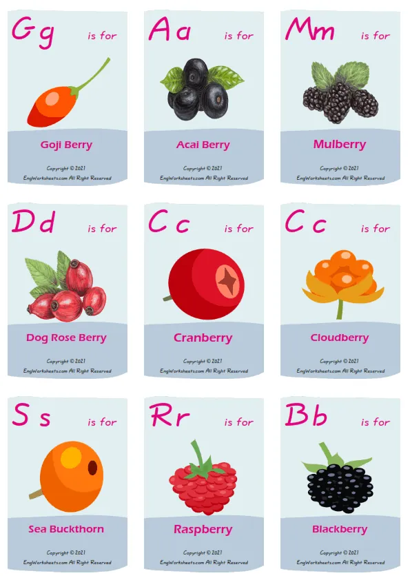 Berries Types vocabulary worksheet with words, nine images per page