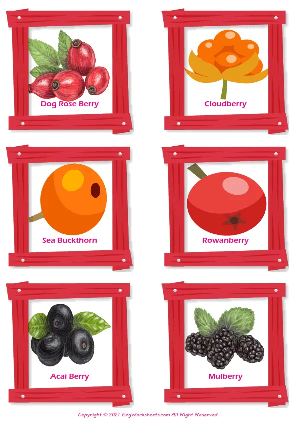 Berries Types vocabulary worksheet with words, six images per page