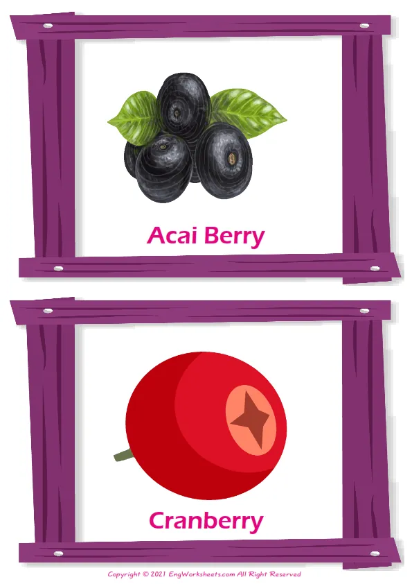 Berries Types vocabulary worksheet with words, two images per page