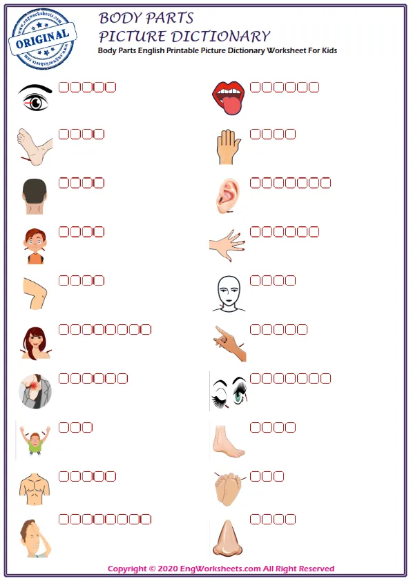 Body Parts English Printable Picture Dictionary Worksheet For Kids