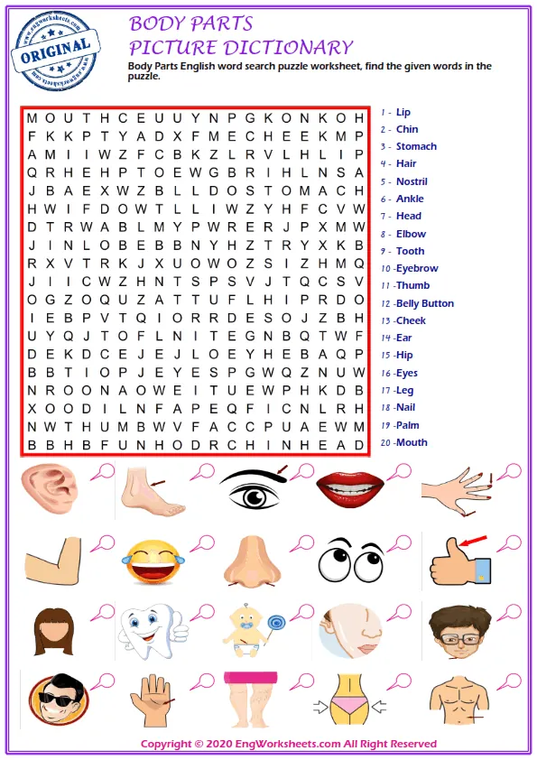 Body Parts English word search puzzle worksheet, find the given words in the puzzle.