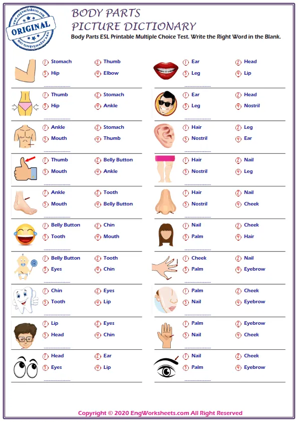 Body Parts ESL Printable Multiple Choice Test. Write the Right Word in the Blank.
