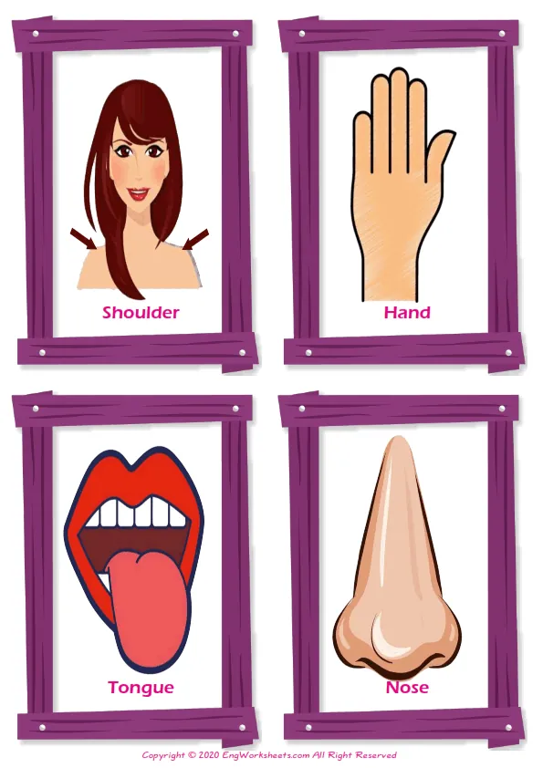 Body Parts vocabulary worksheet with words, four images per page