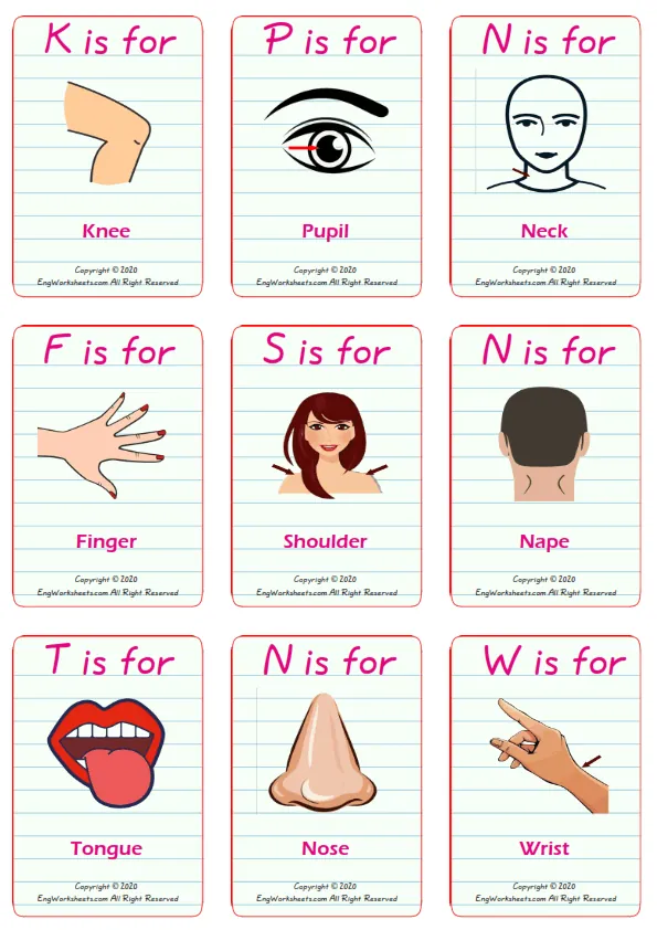 Body Parts vocabulary worksheet with words, nine images per page