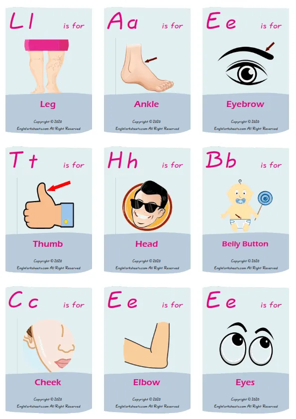 Body Parts vocabulary worksheet with words, nine images per page
