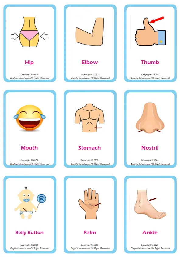 Body Parts vocabulary worksheet with words, nine images per page
