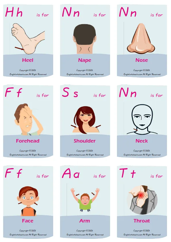 Body Parts vocabulary worksheet with words, nine images per page