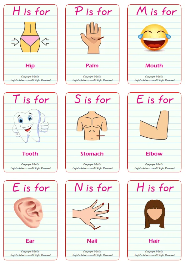 Body Parts vocabulary worksheet with words, nine images per page