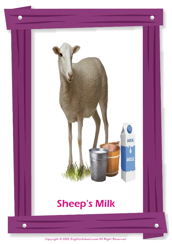 Full-page wordless Dairy Produce English vocabulary worksheet