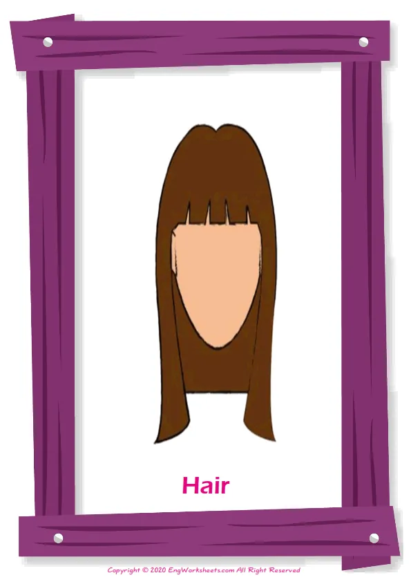 Face Parts English vocabulary worksheet with full-page words