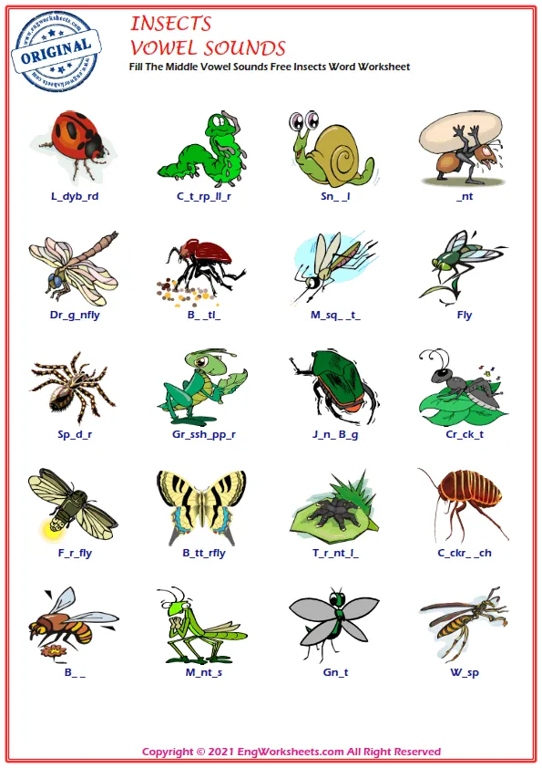 Fill The Middle Vowel Sounds Free Insects Word Worksheet