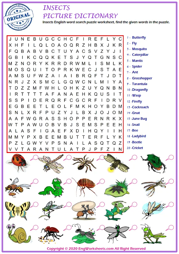 Insects English word search puzzle worksheet, find the given words in the puzzle.