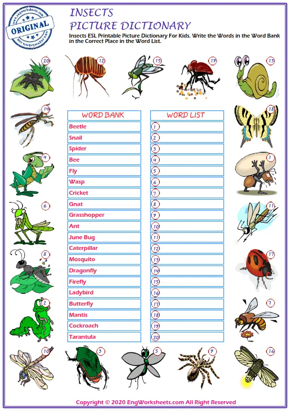 Insects ESL Printable Picture Dictionary For Kids. Write the Words in the Word Bank in the Correct Place in the Word List.