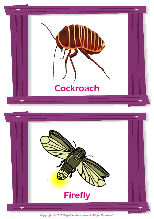 Insects vocabulary worksheet with words, two images per page