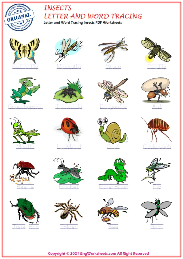 Letter and Word Tracing Insects PDF Worksheets