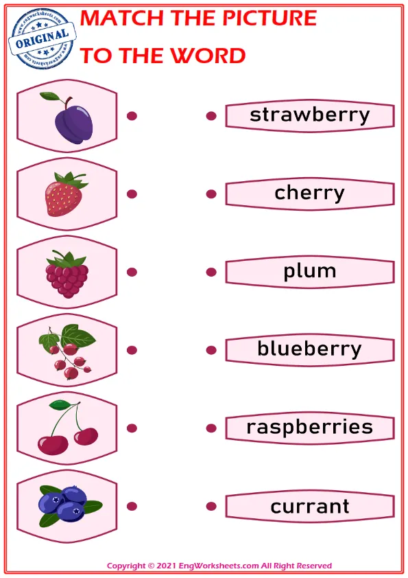 Match the picture to the word worksheet for children