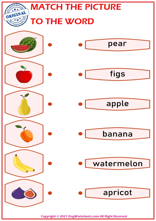 Match the picture to the word worksheet for children