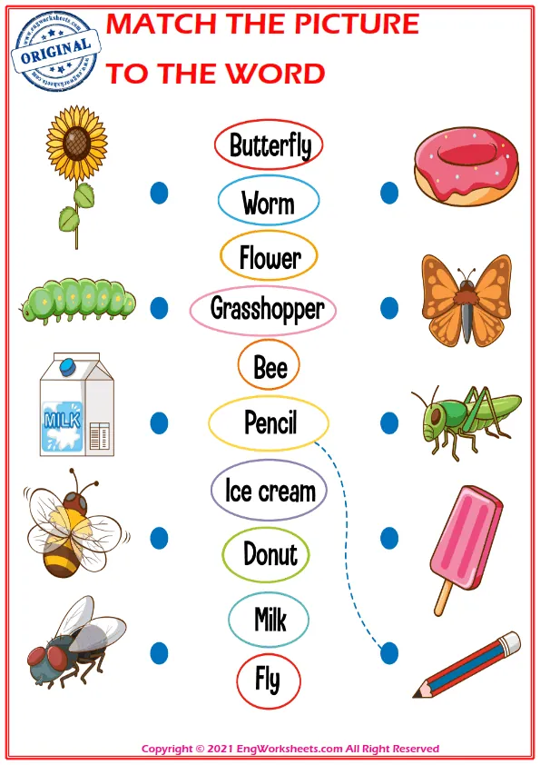 Match the picture to the word worksheet for children