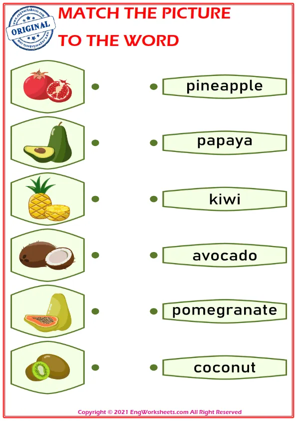 Match the picture to the word worksheet for children