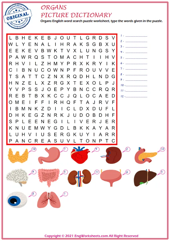 Fill The Middle Vowel Sounds Free Organs Word Worksheet