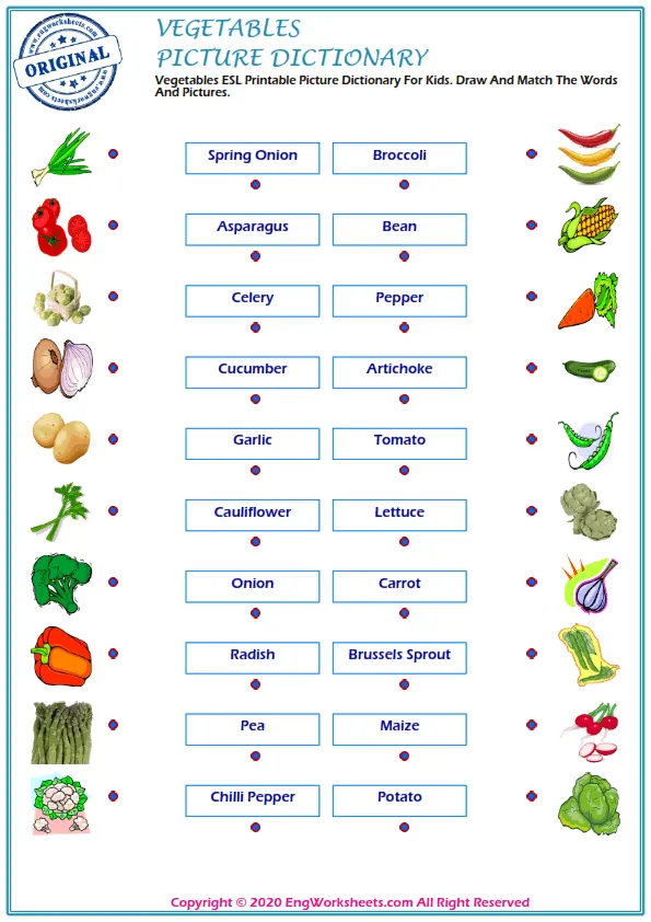 Vegetables ESL Printable Picture Dictionary For Kids. Draw And Match The Words And Pictures.