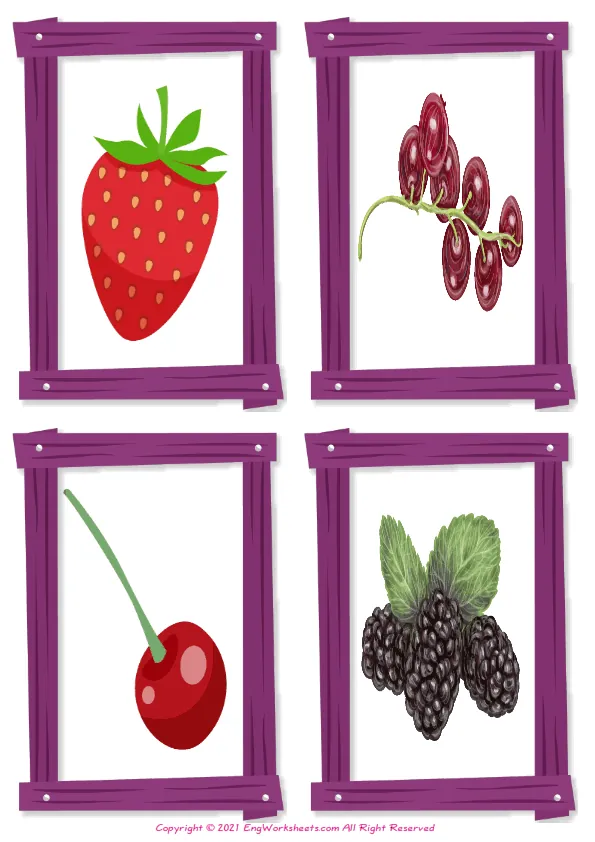Wordless Berries Types vocabulary worksheet with four images per page