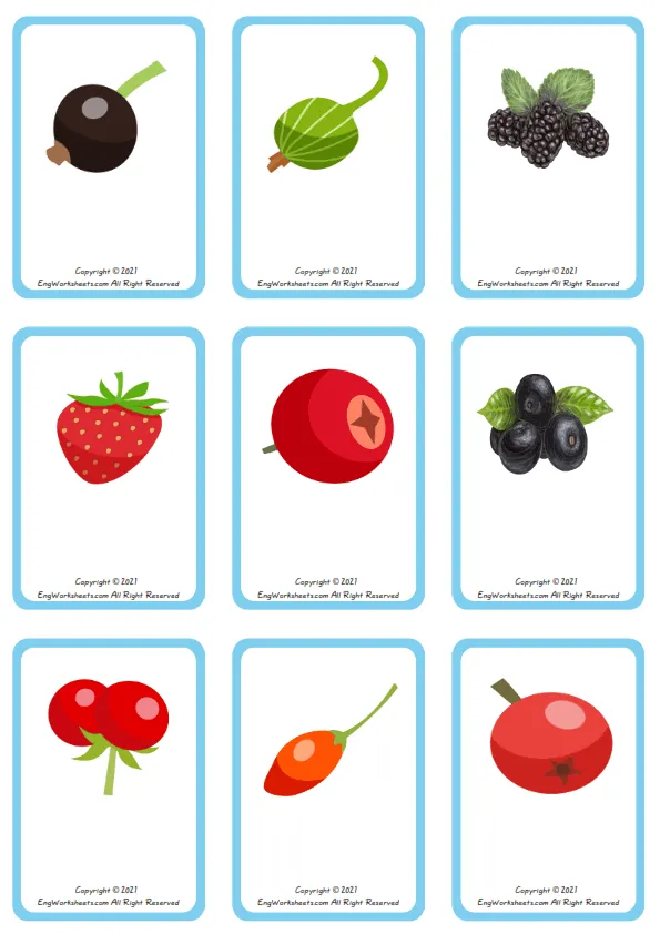 Wordless Berries Types vocabulary worksheet with nine images per page