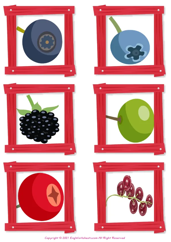 Wordless Berries Types vocabulary worksheet with six images per page