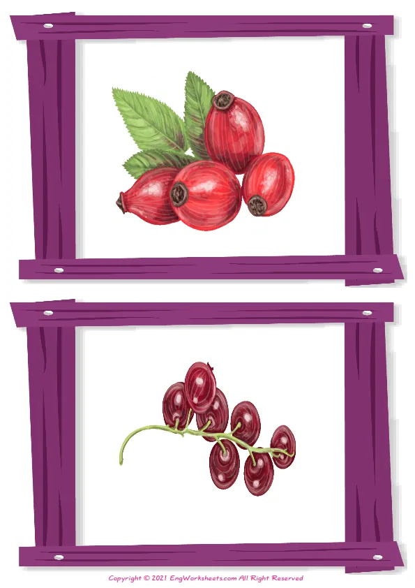 Wordless Berries Types vocabulary worksheet with two images per page