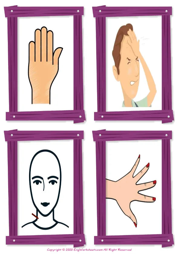 Wordless Body Parts vocabulary worksheet with four images per page