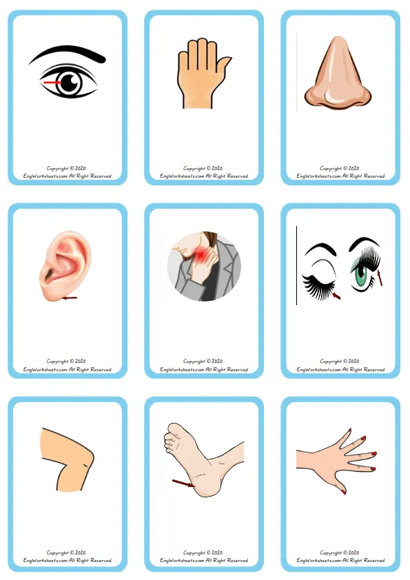 Wordless Body Parts vocabulary worksheet with nine images per page