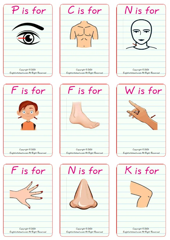 Wordless Body Parts vocabulary worksheet with nine images per page