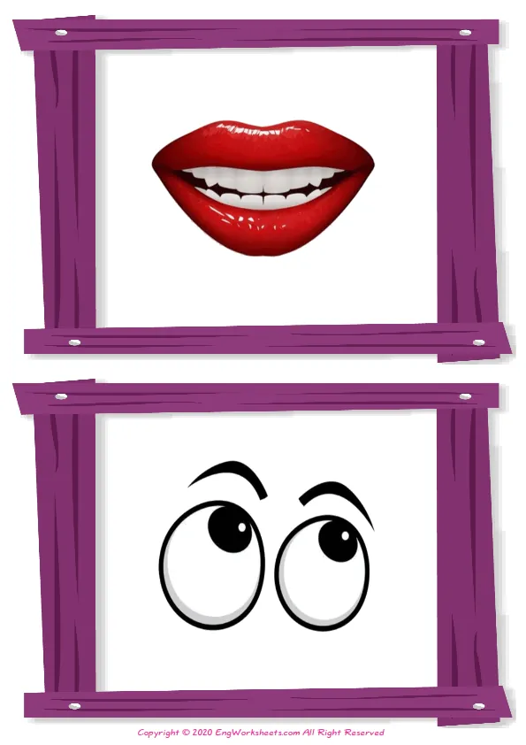 Wordless Face Parts vocabulary worksheet with two images per page