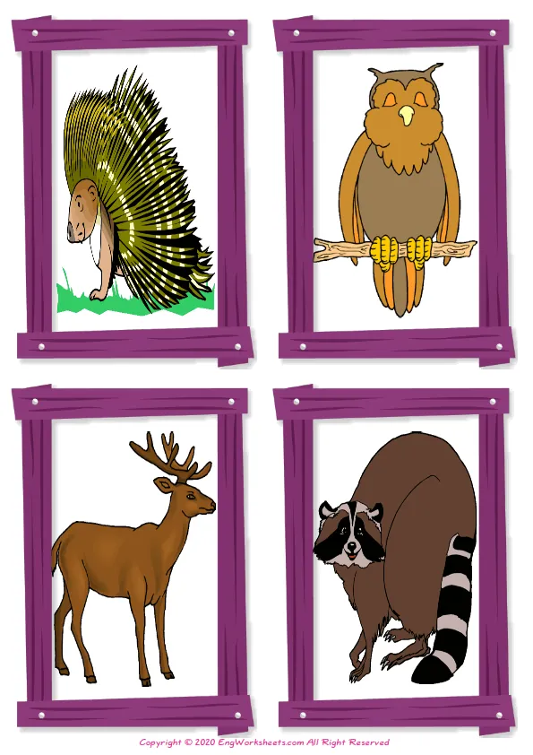 Wordless Wild Animals vocabulary worksheet with four images per page
