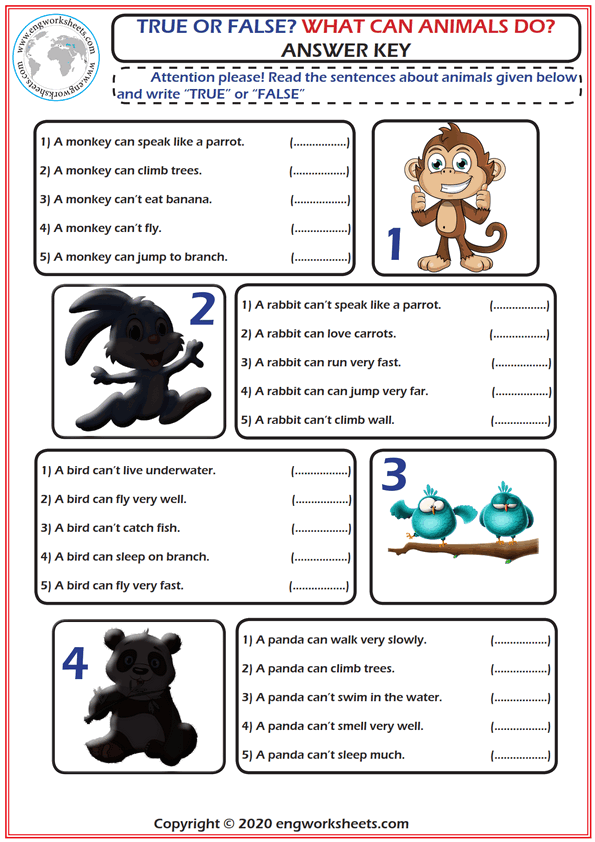 What Can Animals Do? True Or False Esl Grammar And Worksheet. - PDF  Worksheets - EngWorksheets