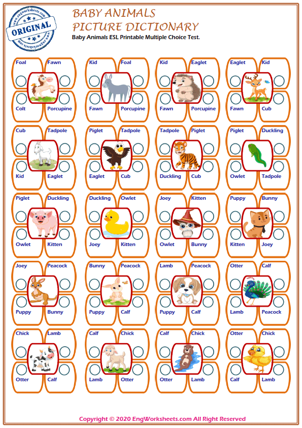 Baby Animals Printable English ESL Vocabulary Worksheets - EngWorksheets
