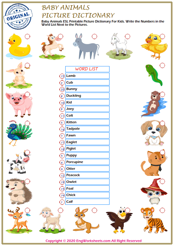 Baby Animals ESL Printable Picture Dictionary Worksheet For Kids - PDF  Worksheets - EngWorksheets