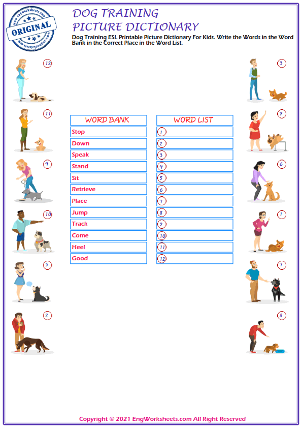 Dog Training Printable English Esl Vocabulary Worksheets Engworksheets
